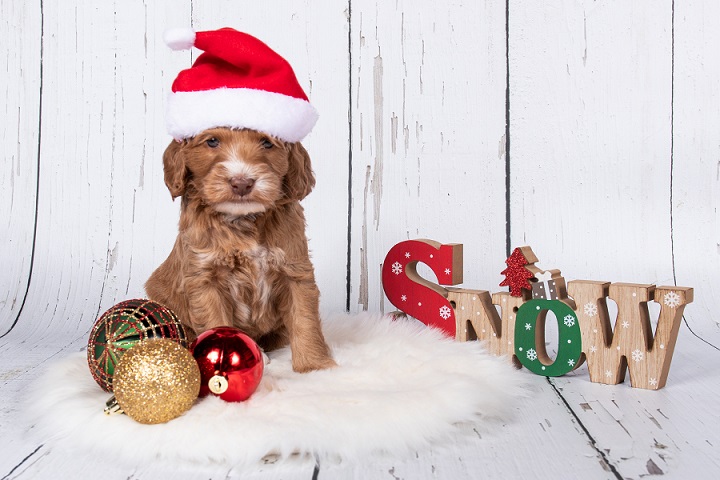 Chloekerstw