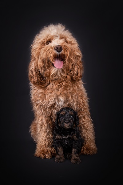 Dean&mamaw