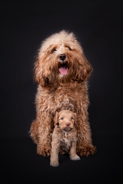 Dex&mamaw