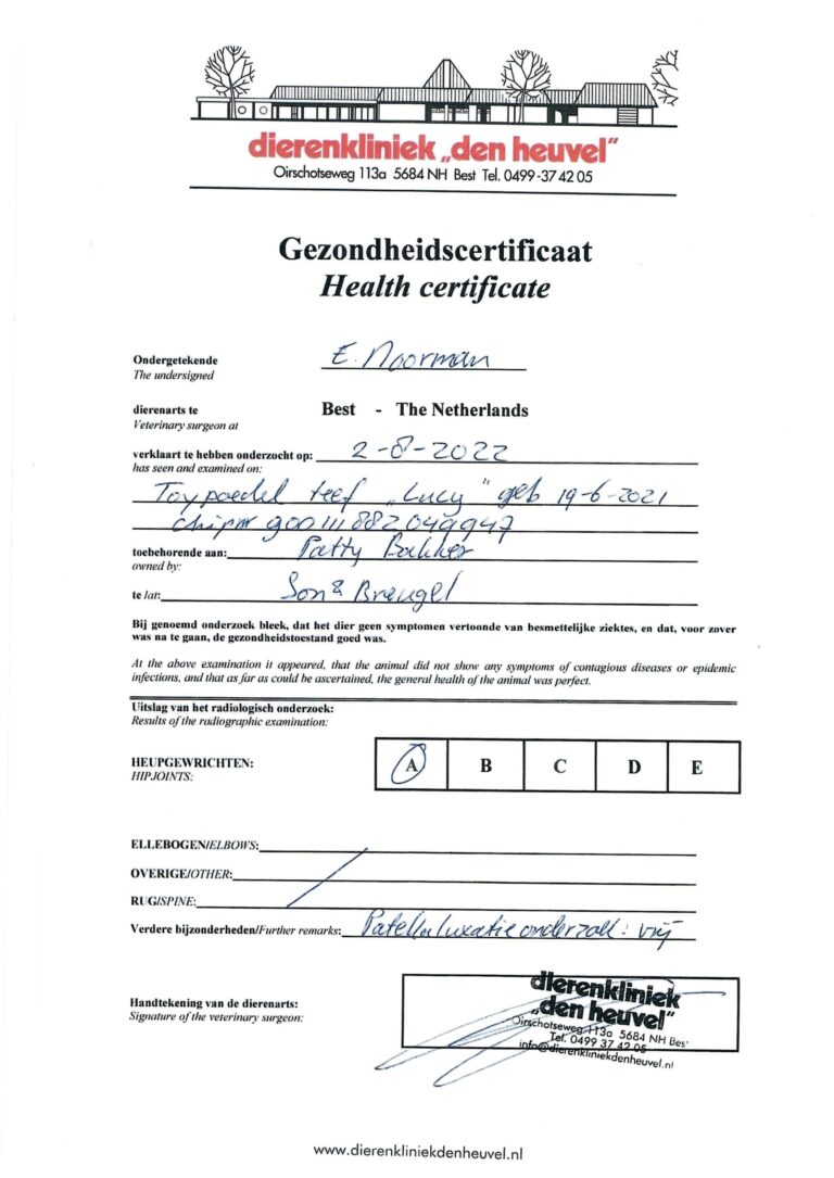 Lucy-gezondheidscertificaat-scaled-1.jpg