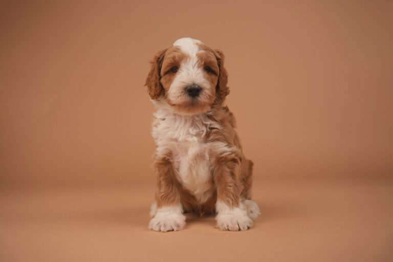 walter2-scaled